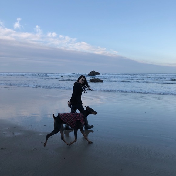 The Spitfire - Picture 5 of 14